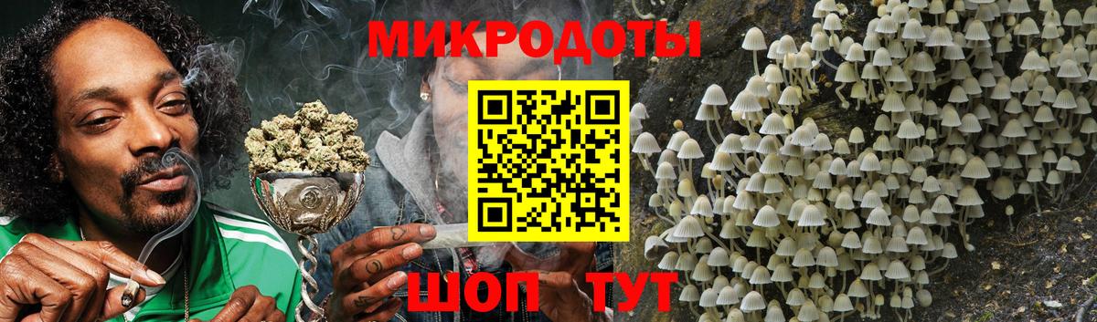 Галлюциногенные грибы Psilocybine cubensis Шелехов