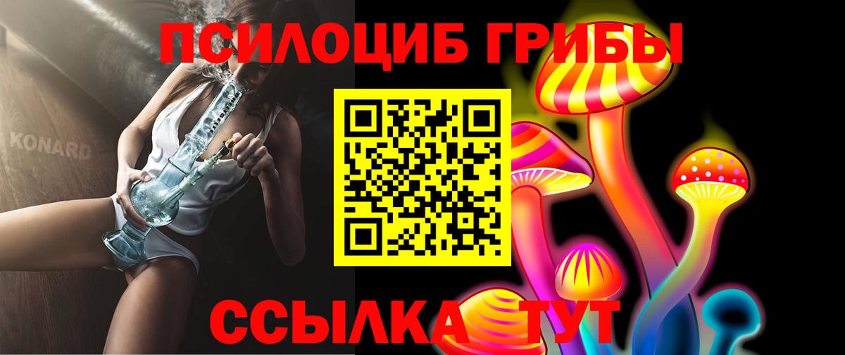 где купить   Вход с VPN  Шелехов  Псилоцибиновые грибы прущие грибы 